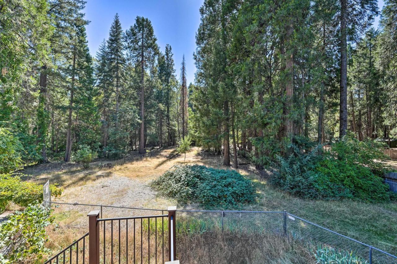 Nevada City Retreat Near Hiking And Yuba River! エクステリア 写真